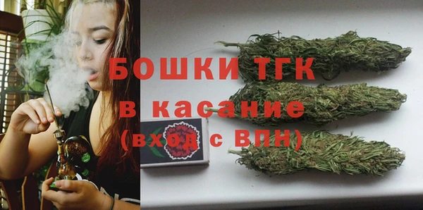 крисы Арсеньев