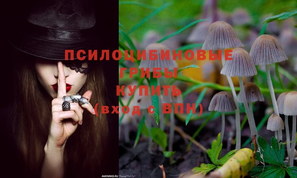 ALPHA-PVP Зеленокумск