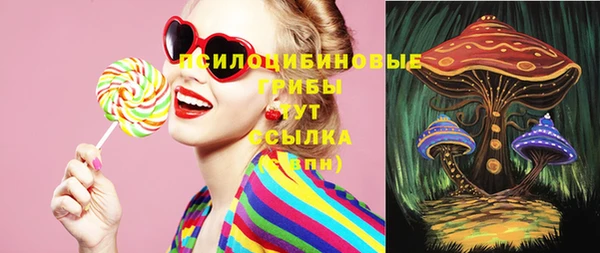 ГАЛЛЮЦИНОГЕННЫЕ ГРИБЫ Армянск