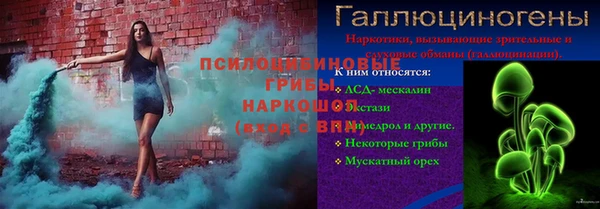СК Аркадак