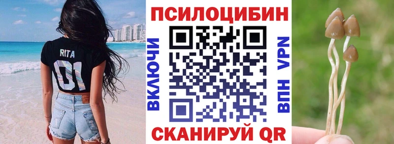 как найти наркотики  MEGA как войти  Галлюциногенные грибы Magic Shrooms  Полевской 